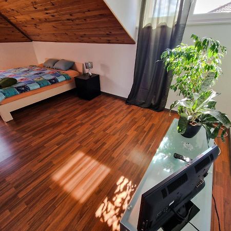Beautiful Aparment Next To The Border 4 Room แซ็ง-ลุยส์ ภายนอก รูปภาพ