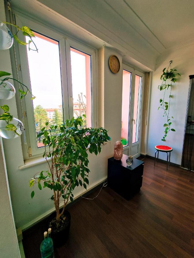 Beautiful Aparment Next To The Border 4 Room แซ็ง-ลุยส์ ภายนอก รูปภาพ